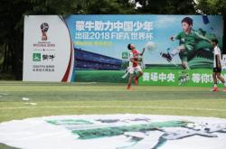 开云官网-关于俄罗斯国内足球赛场崭露头角，冠军悬念大的信息