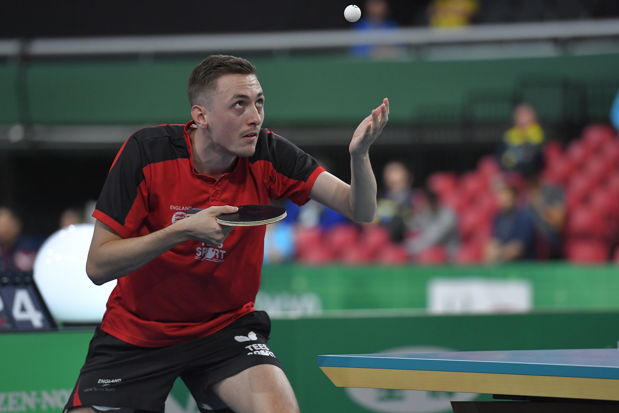 包含英国乒乓球队绝地反击奥地利乒乓球队,波尔统治全场的词条 包含英国乒乓球队绝地反击奥地利乒乓球队,波尔统治全场的词条